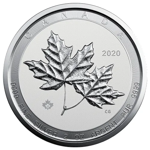 2020 Silver Twin Maple Back 1 - Preserve Gold