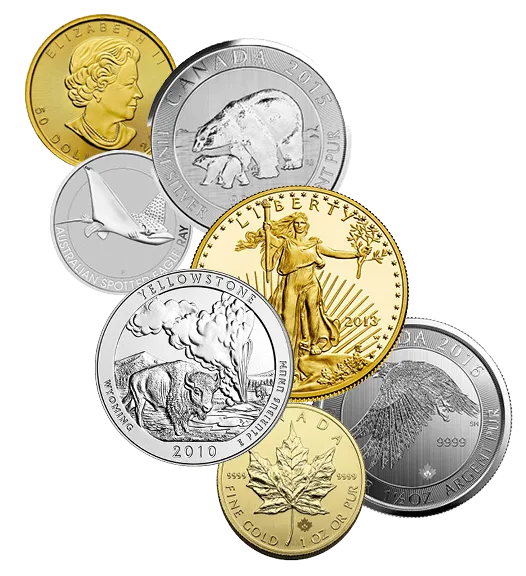 Goldsilvercoins E1663882087740 1 2 - Preserve Gold
