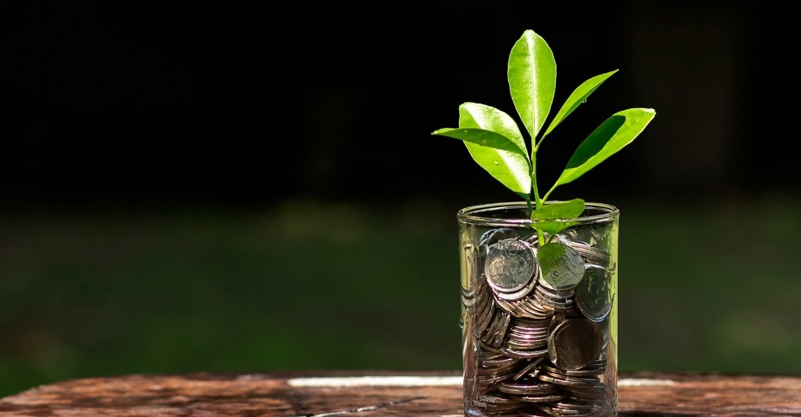 plant on top of stacked coins