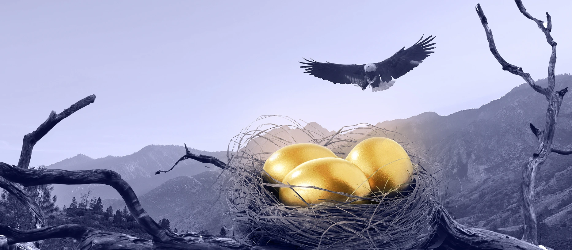 Eagles treasure: The golden eggs