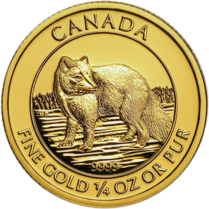 Gold Artic Fox Back