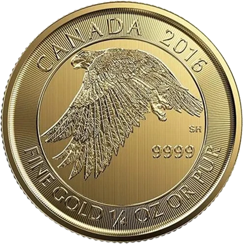 Gold Gyrfalcon