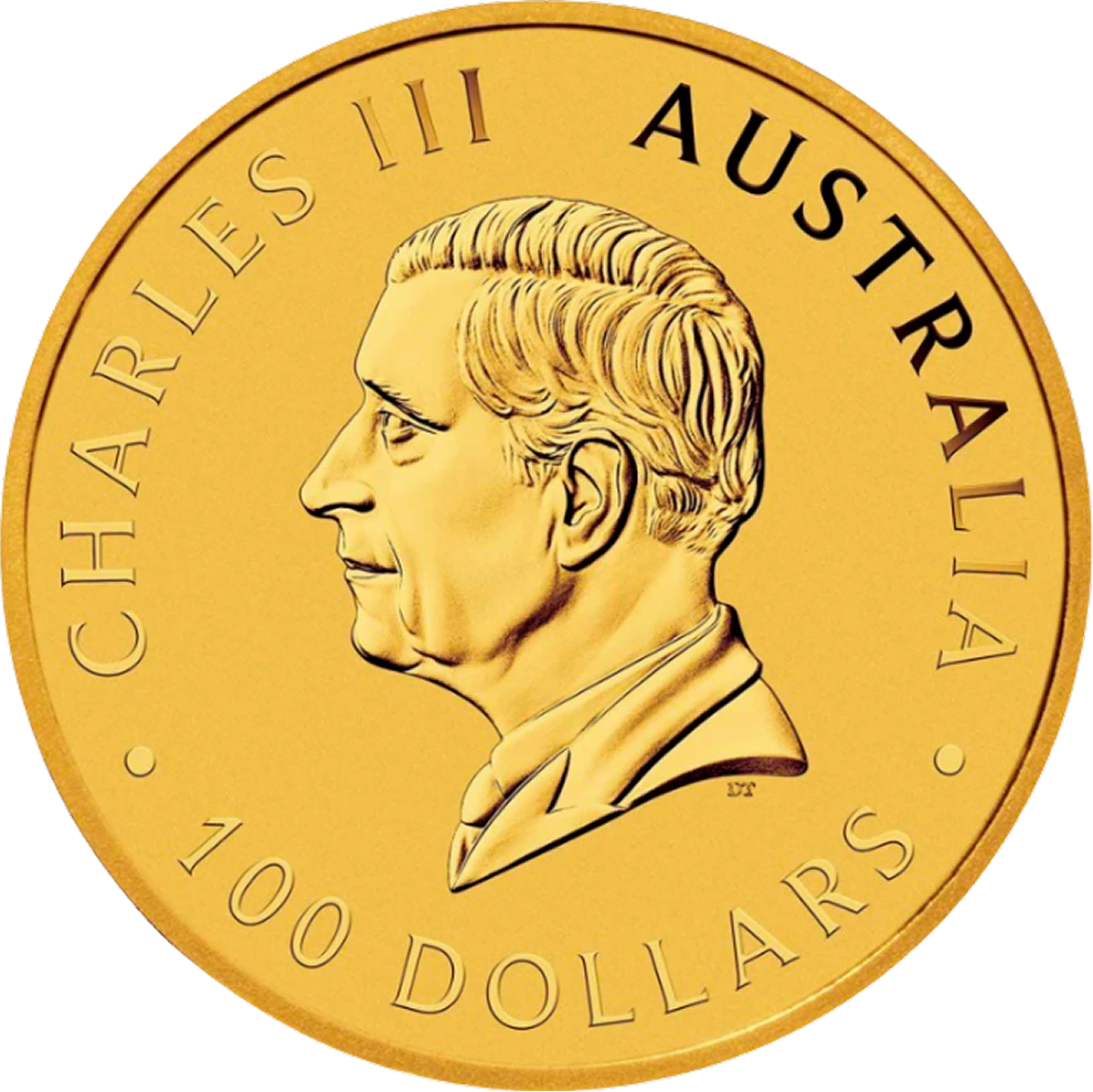Gold Kangaroo front