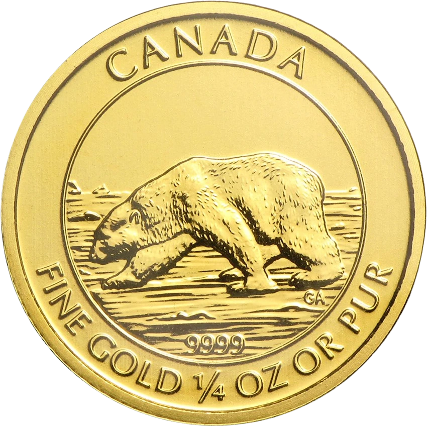 Gold Polar Bear back