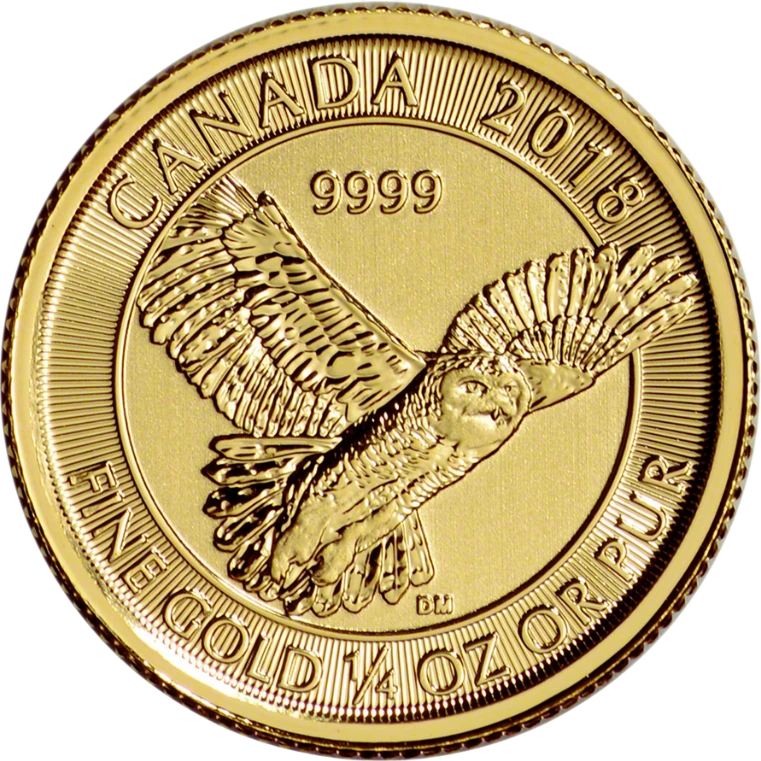 Gold Snowy Owl back