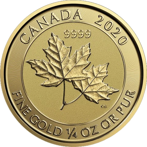 Gold Twin Maples