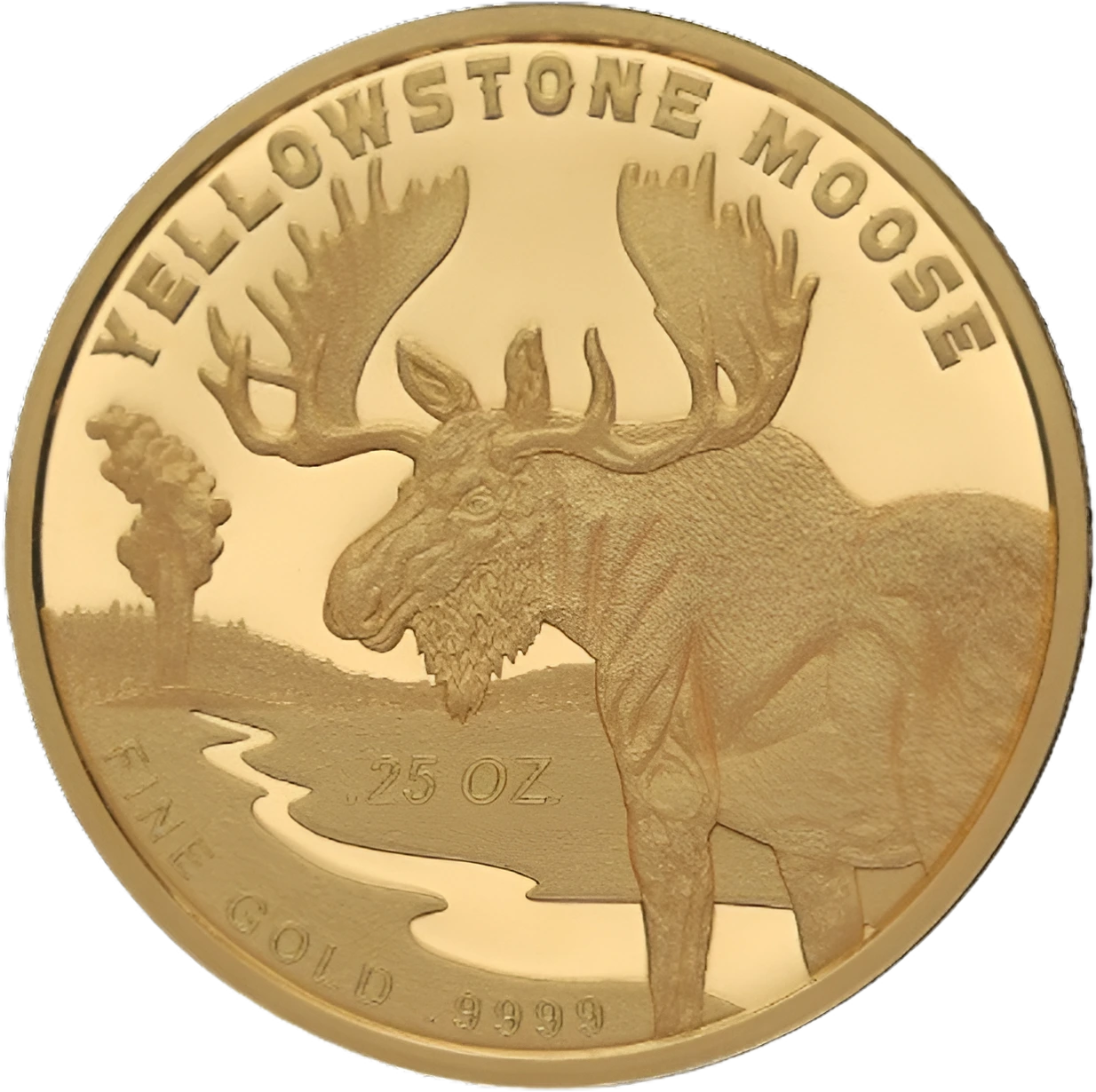 Gold Yellowstone Moose Back
