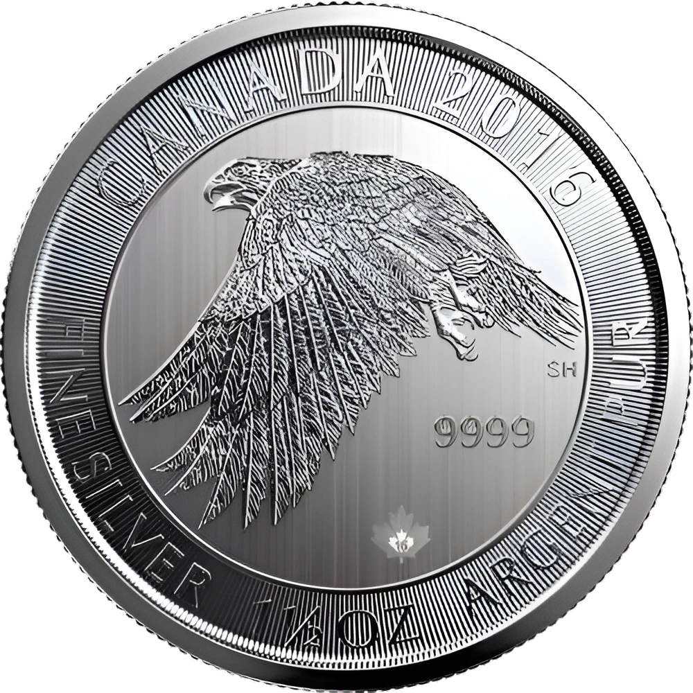 Silver Gyrfalcon