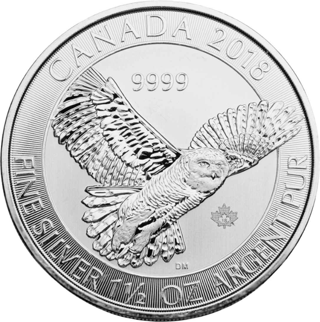 Silver Snowy Owl back