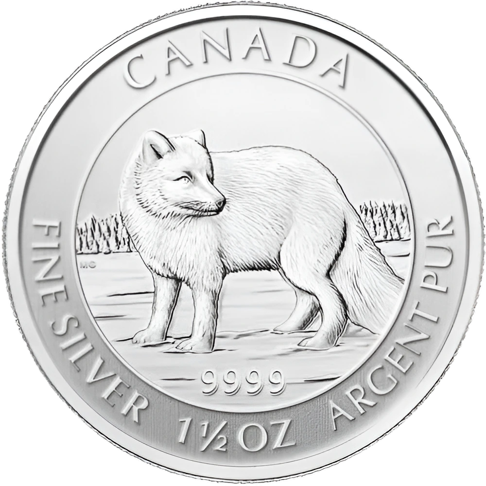 Artic fox front