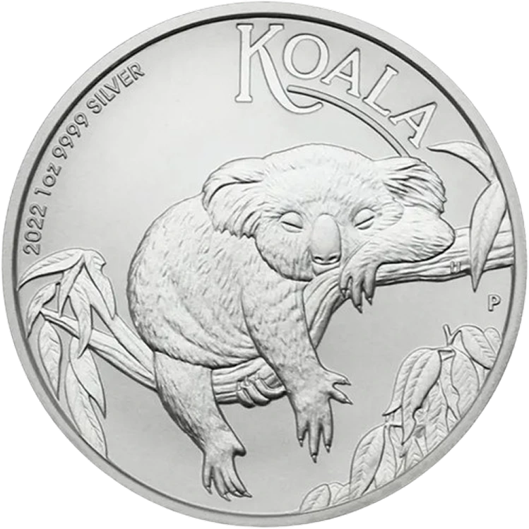 Koala front