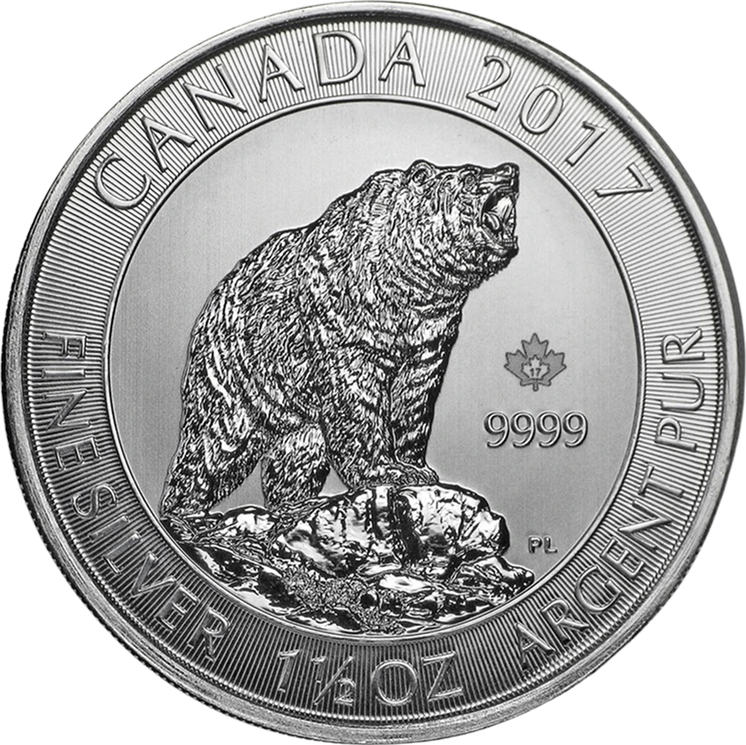 Silver Grizzly Bear back