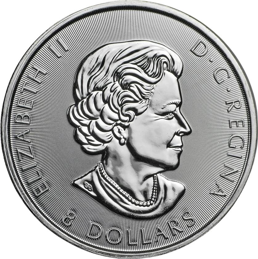 Silver Grizzly Bear front