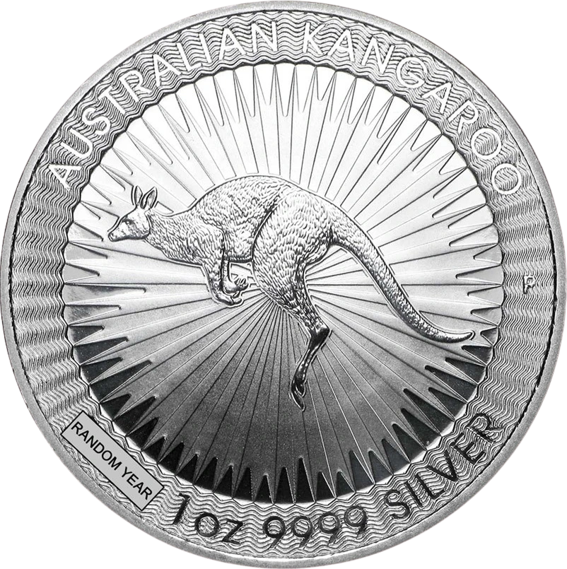 Silver Kangaroo back