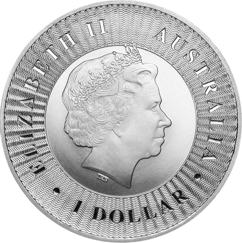 Silver Kangaroo front