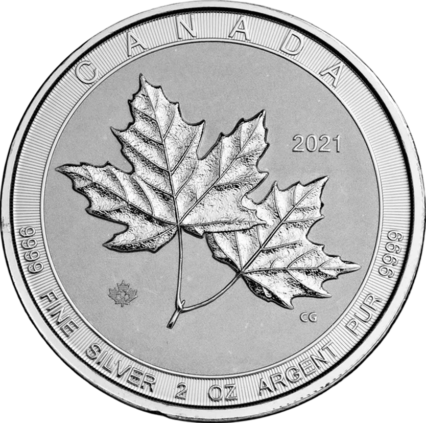 Silver Twin Maples back