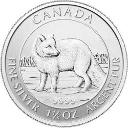 Arctic Fox Coin